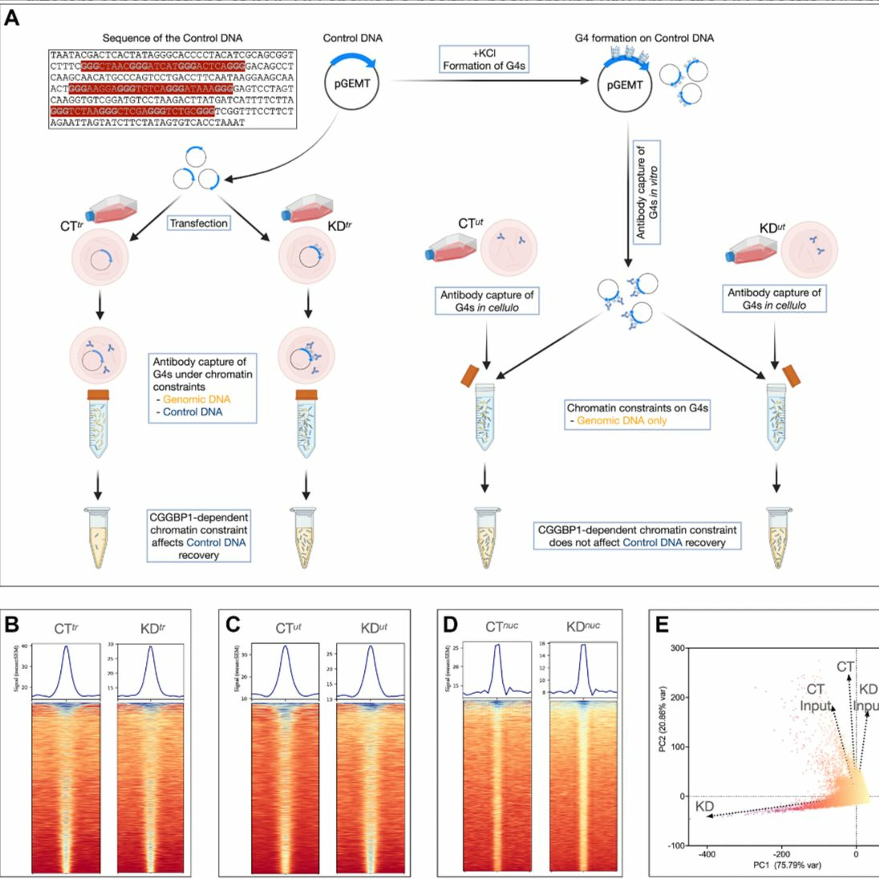 Oncotarget
