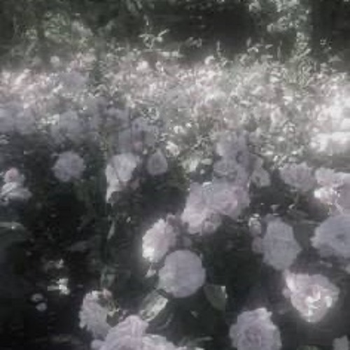 それから。Prod.HANEDA