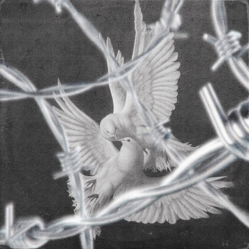 don't feed the birds Album
