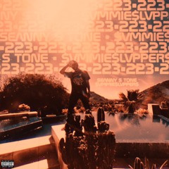 223 feat. $VMMIE$LVPPER$