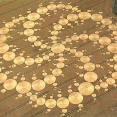 crop circle 3.99