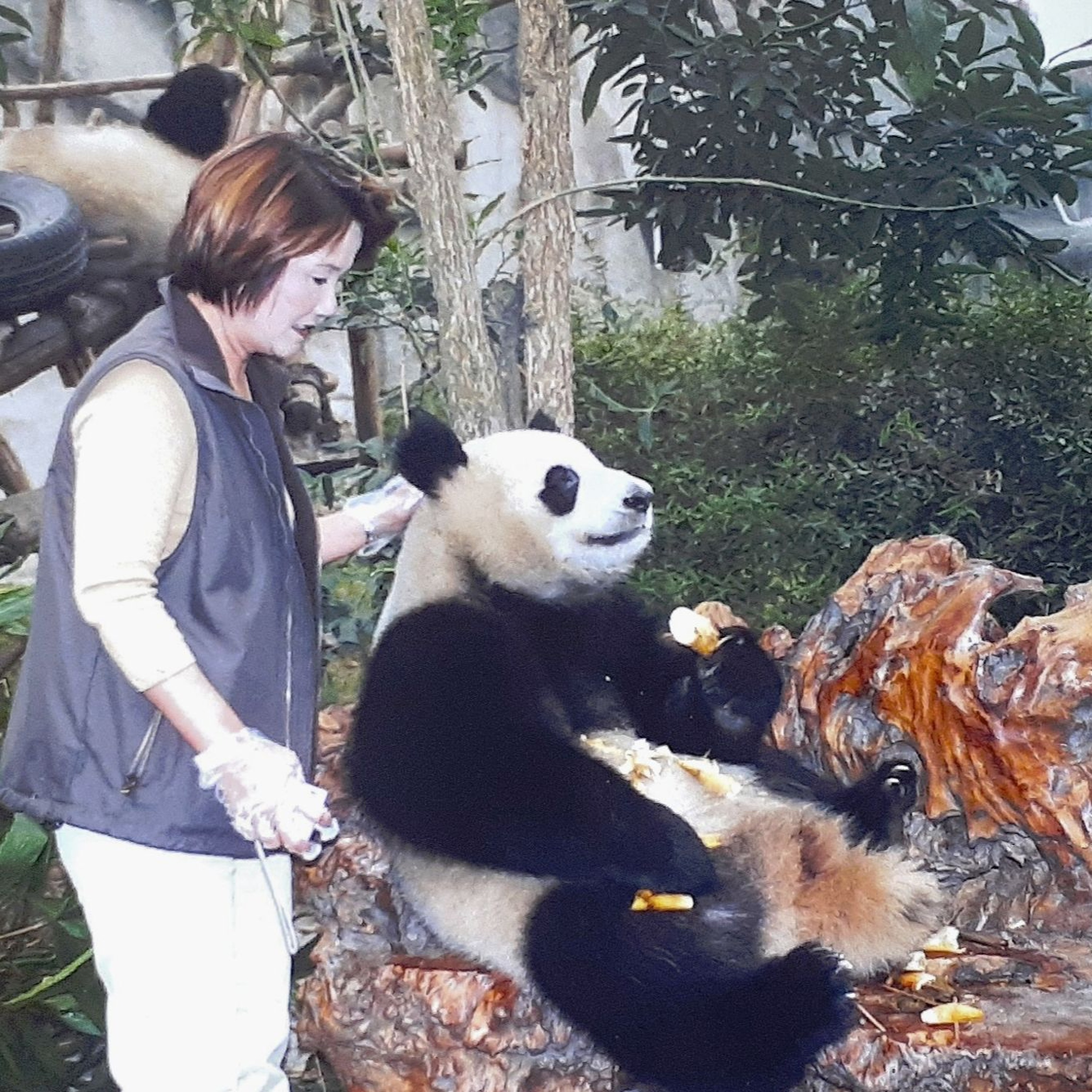 Aussies no longer need a visa for China - Mike Smith talks to China specialist Helen Wong episode artwork