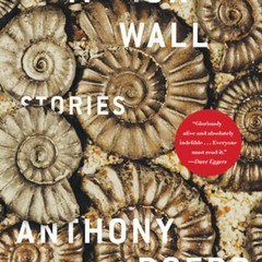 ^Literary work# Memory Wall BY: Anthony Doerr