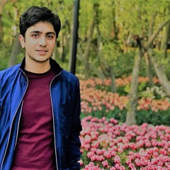 Mojtaba Torabi - Reng Chargah (original)