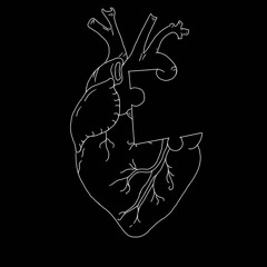 Bacardi-Medium-Balanced