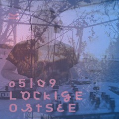 LockigXDisko3000 mit 271 Kranichen