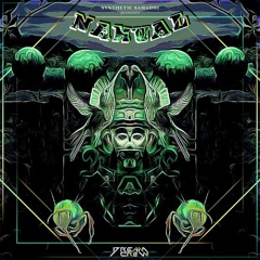 EP Trailer - NAHUAL / Synthetic Samadhi [Dream Crew Records]
