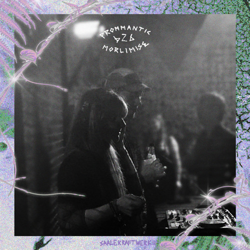 Saalekraftwerk II / Prommantic B2B MorliMise