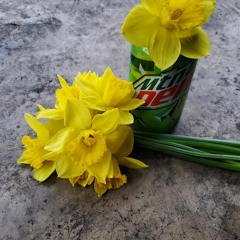 audrey's song (featuring lil bair)