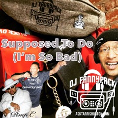 Supposed To Do (I'm So Bad) feat. Pimp C & T-roy the Country Boy - Dj Fannypack