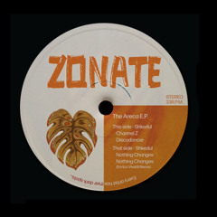 The Areca E.P. - Shkedul (with Enrico Vivaldi Remix)