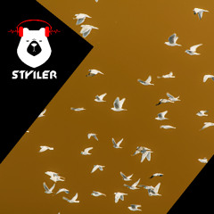 Microchip Groove Lyric