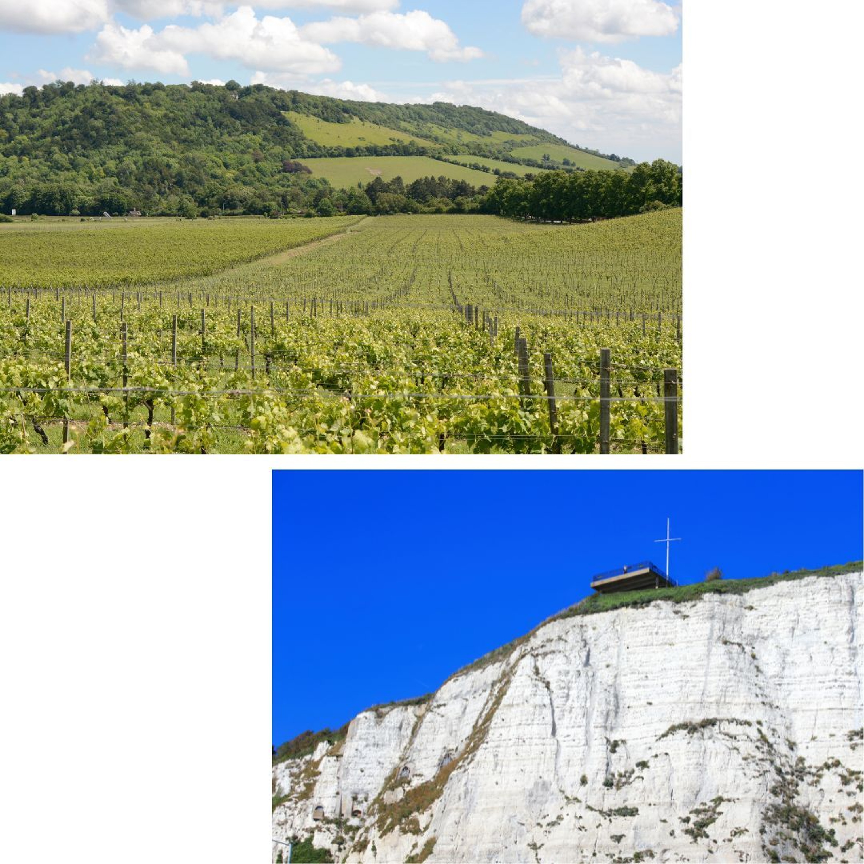 Matthew\'s World of Wine and Drink