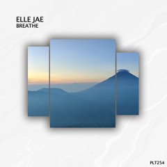 Premiere: Elle Jae - Reflection [Polyptych]