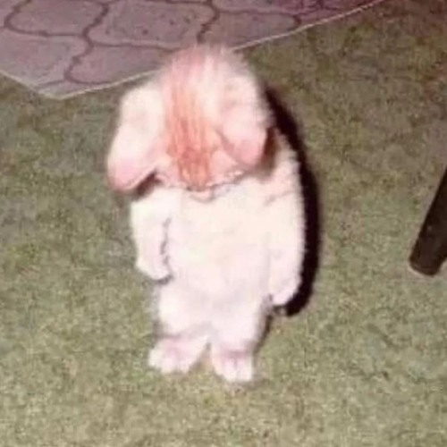 THÀ QUÊN ĐI - NASA REMIX (CUT)