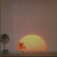 F 0 C U $ 𖥔  (interlude)