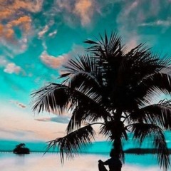 SB5 - ft. Friction , Wilkinson , S.P.Y , Maduk , Metrik , Netsky , High Contrast