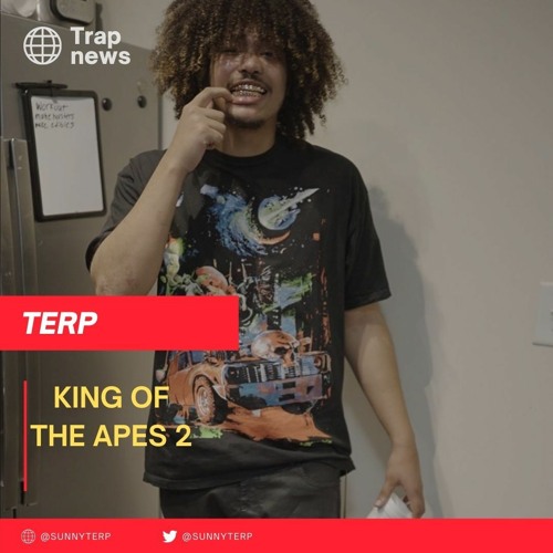 King of the apes 2 (prod. terp)