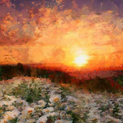 DAISY FIELDS