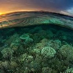 TECHNO GROOVY  (free download)