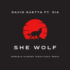 David Guetta ft. Sia - She Wolf (Marcelo Almeida 'Risca-Faca' Remix)
