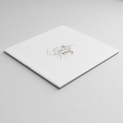 YS - Brutal Flowers  2 x 12" LP (PACE005)