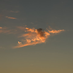 15 Feels Like February 2025