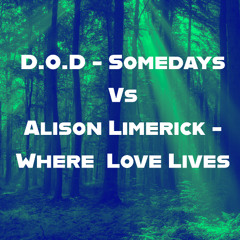 Somedays Love Lives - David Nye Mashup (Radio Edit)