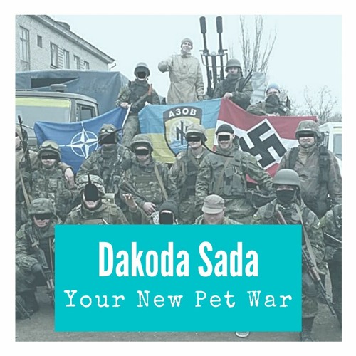 Your New Pet War ( The "where are the calls to stop the war" mix)