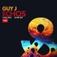 on Guy J - ECHOS 19.02.2021