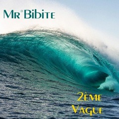 Mr°Bibite - 2ème Vague