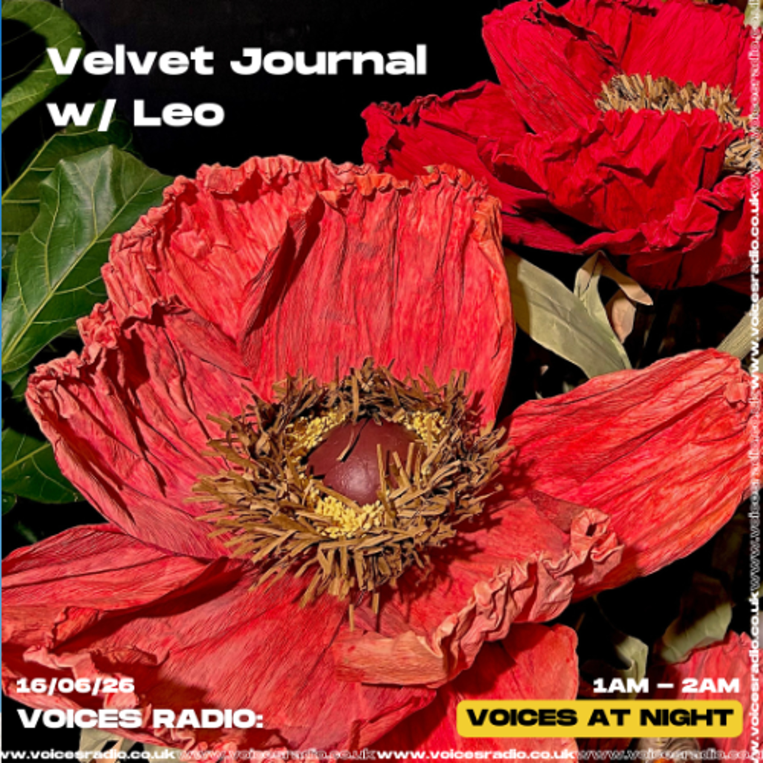 Velvet journal w/ Leo - 16/06/26 - [Voices Radio] episode artwork
