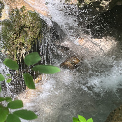 The power of nature