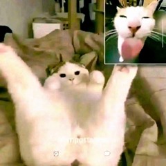 Music Love Khoai Míccc