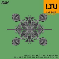 Premiere: Dario Nunez & Javi Palmero - All About The Music (Qubiko Remix) | RIM