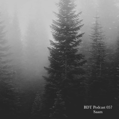 BDT Podcast 057 - SAAM