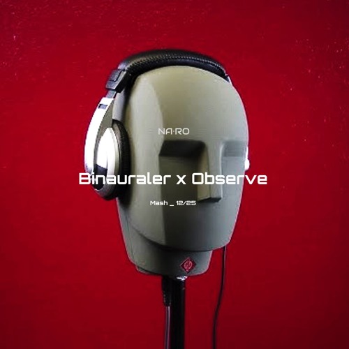 Binauraler x Observe / NA•RO Mash