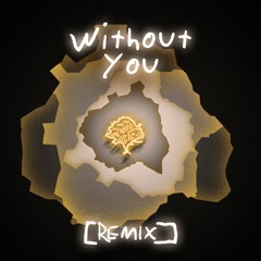Without You feat. Sandro Cavazza (REMIX)