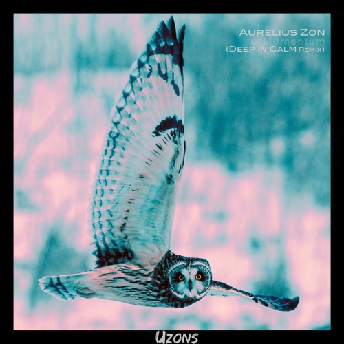 Aurelius Zon - Momentum (Deep In Calm Remix)