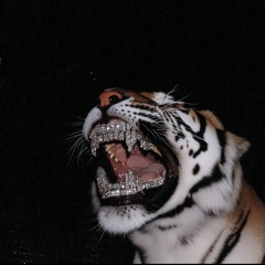 BEDROOM INVITE  (unreleased)