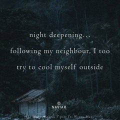 Night Lurker [ naviarhaiku547 ]