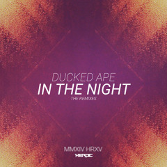 In The Night (Shimmer) (Aipassa Remix)