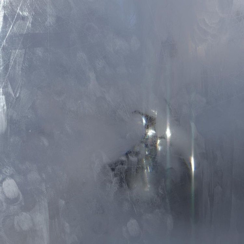 (P)aranoid