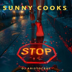 Sunny Cooks, DJ Aristocrat - Stop (Extended Mix)