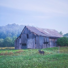 The Possibilities Before - String Quartet