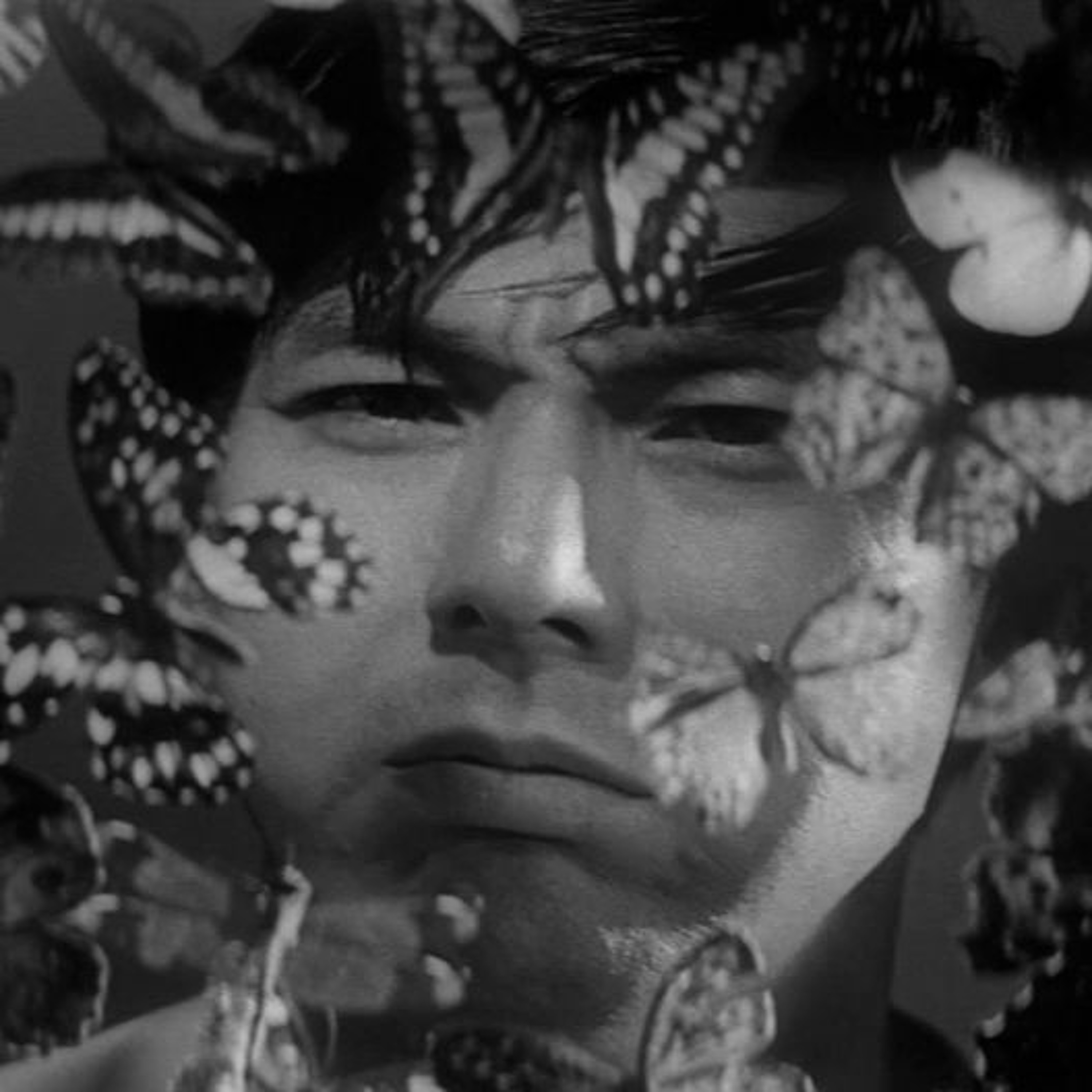Ep. 72 Seijun Suzuki