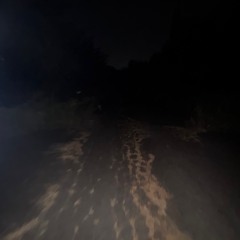 DIM