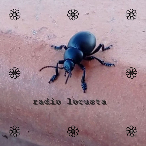 Yora Yora - Radio Locusta 8