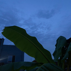 Chaand Cover by Bravewrld