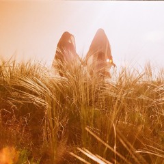 In The Tall Grass (feat. Hale May & Nik Kemmer)